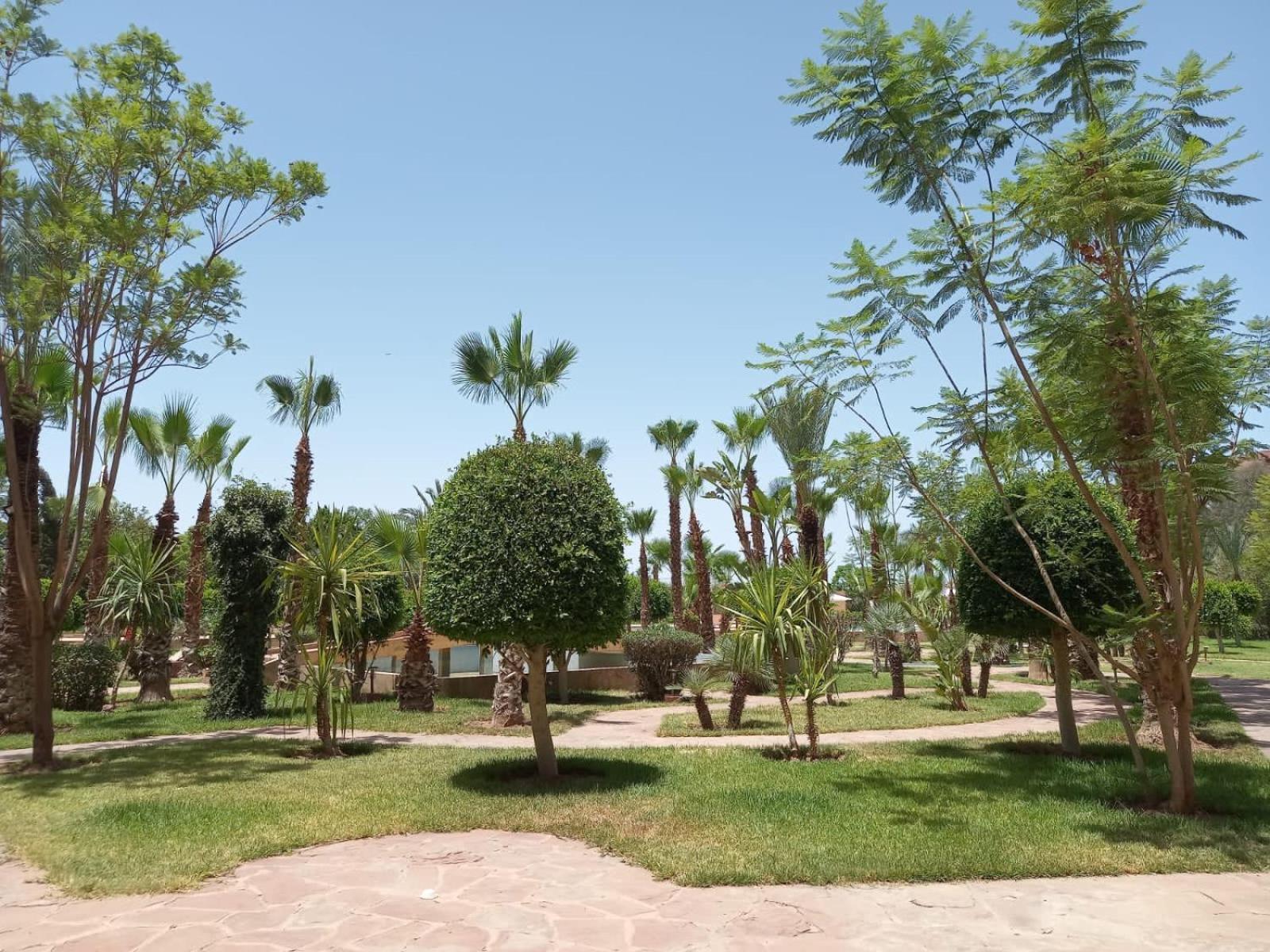 Апартаменти Marrakech M Avenue Terrasse Jardin Марракеш Екстер'єр фото